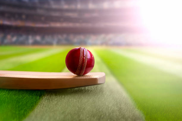 Cricket and Tiger Exchange – Where Sports Thrills Meet Wildlife Conservation!