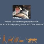 Experience the Thrill of Online Cricket with a Personal ID | PlayExch | Reddybook